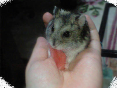 img2010070602.jpg