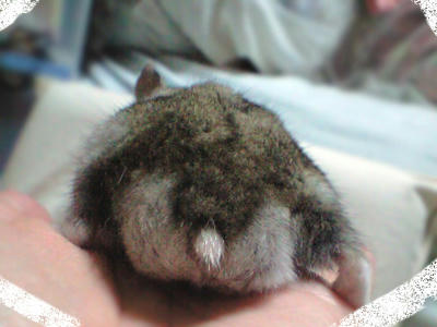 img2010070603.jpg