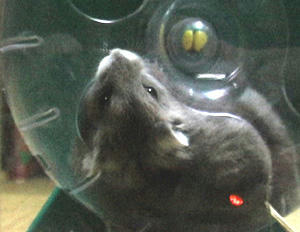 54ee880b.jpg