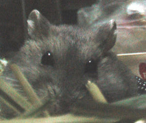 img2007070601.jpg