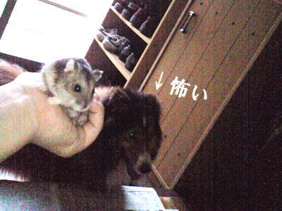 img2010070902.jpg