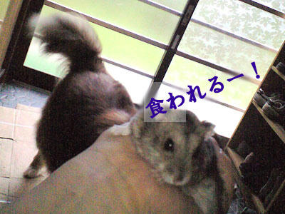 img2010070901.jpg