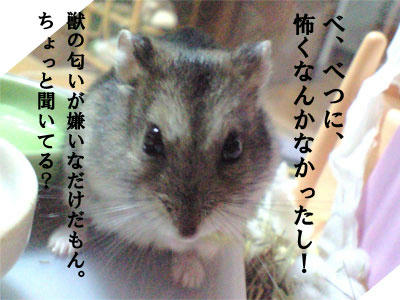 img2010070903.jpg