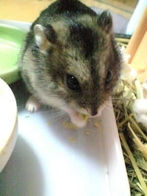 img2010071301.jpg