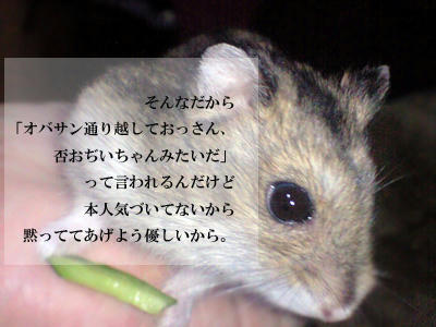 img2010071903.jpg