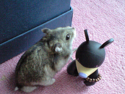 img2010072602.jpg