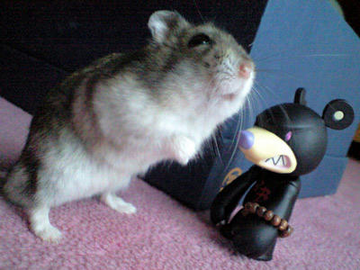 img2010072603.jpg
