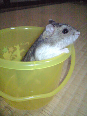 img2010080801.jpg