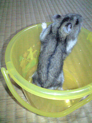 img2010080802.jpg