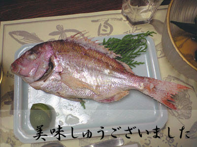 img2010080803.jpg