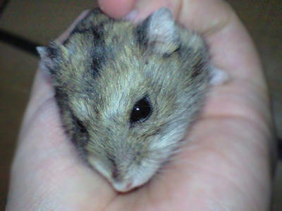 img2010081802.jpg