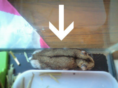 img2010082204.jpg