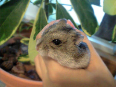 img2010082201.jpg