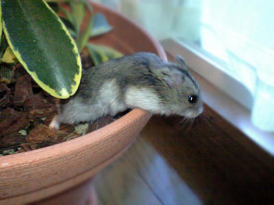 img2010082202.jpg