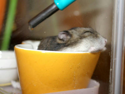 img2010090201.jpg