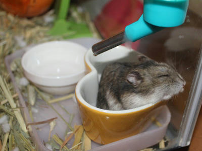 img2010090202.jpg