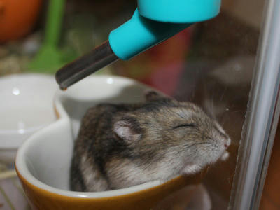 img2010090203.jpg