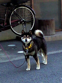 img2010090301.jpg