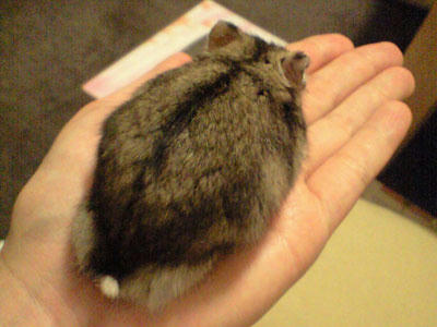 img2010090603.jpg