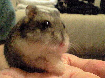 img2010090604.jpg