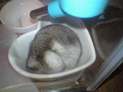 img2010091101.jpg