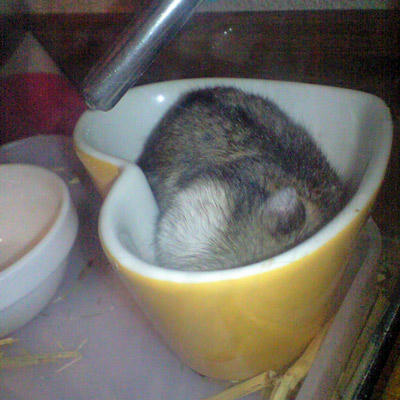 img2010091102.jpg