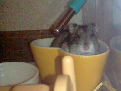 img2010091103.jpg