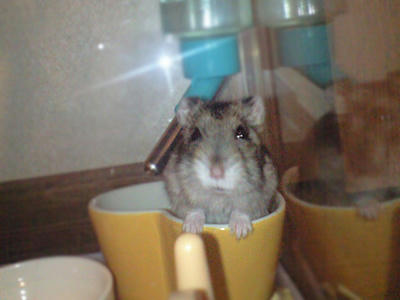 img2010091104.jpg