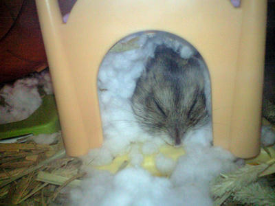 img2010100201.jpg