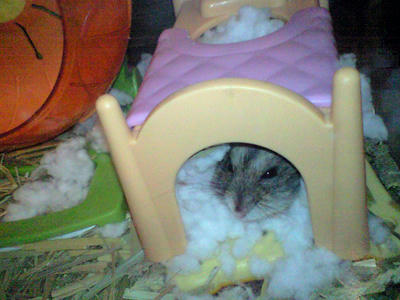 img2010100202.jpg
