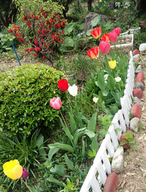 2011050201.jpg