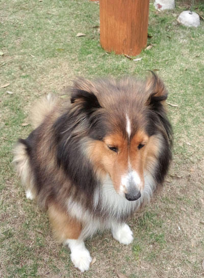 2011050202.jpg