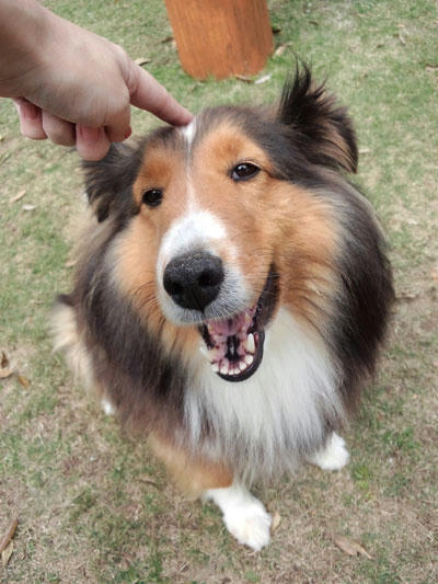 2011050203.jpg