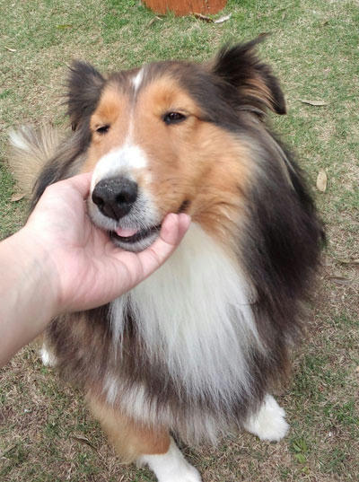 2011050204.jpg