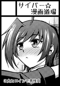 c84-sk.jpg