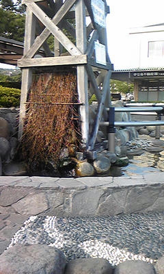 080829_1550~01.jpg