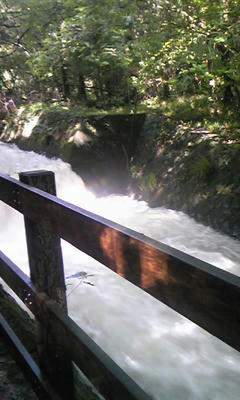 080830_1422~02.jpg