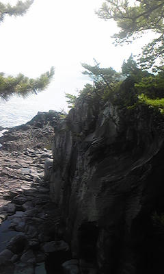080830_1433~01.jpg