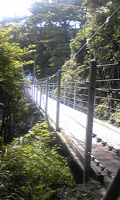 080830_1436~01.jpg