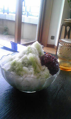 080830_1529~01.jpg