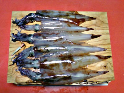 函館のヤリイカ釣りシーズン そろそろオフか 釣友さんの釣果ブログ
