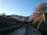 SN3R0027.jpg