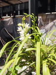 DSCF0066.jpg