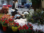 P4230020.JPG