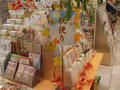 CIMG0579.JPG