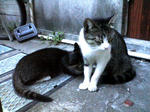 K3100313.JPG