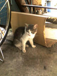 K3100428.JPG