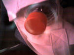 K3100446.JPG