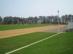 IMG_0033-w600.jpg