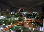 P1000668.jpg